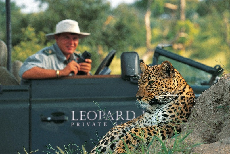 Photo of Leopard Hills Leopard Photo 